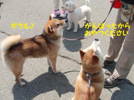 おやつ
