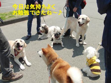 お勉強