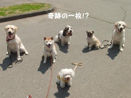 奇跡の一枚