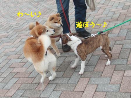 わ~い