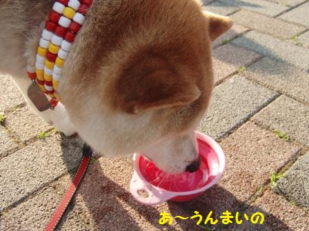 うんまい