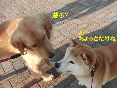 ちょっとだけ