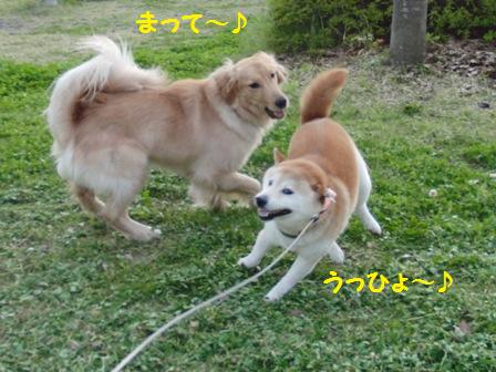 うっひょ~