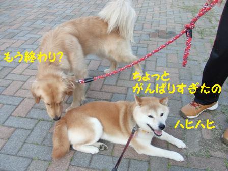 終わり?
