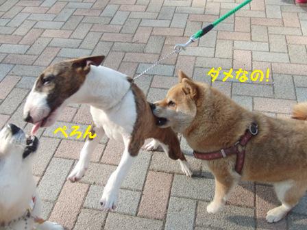 ダメ
