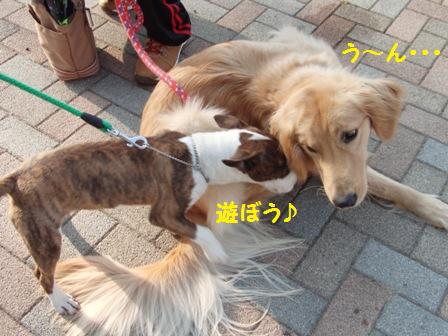 うん・・・