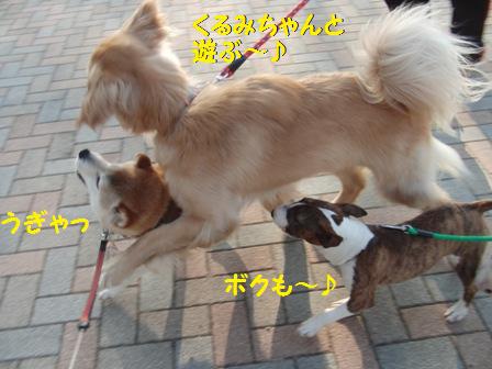 うぎゃ