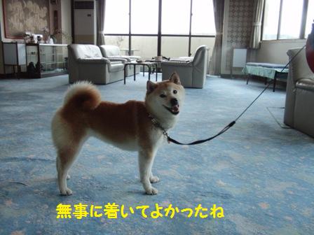 無事に着いた