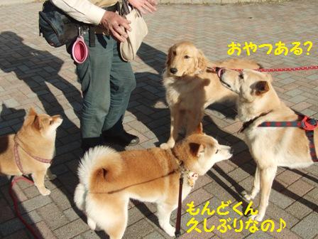 もんどくん