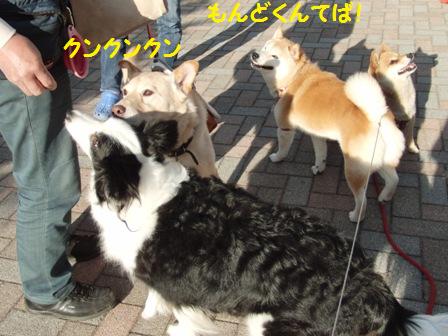 クンクンクン