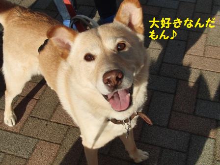 大好き