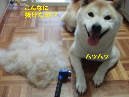抜けた