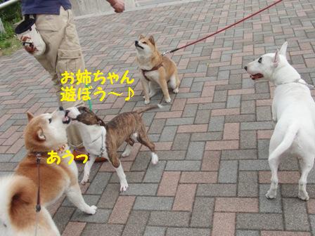 遊ぼう