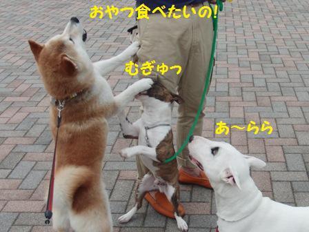 むぎゅ