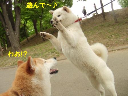 遊ぼう