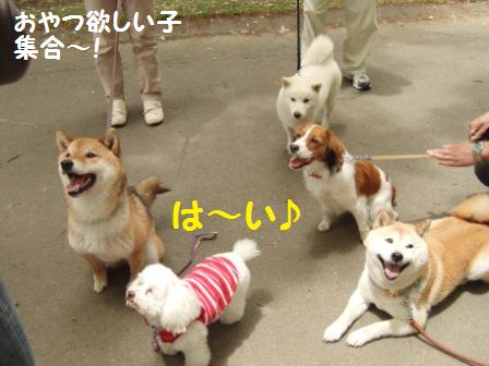 集合