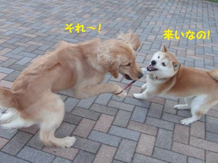 来い