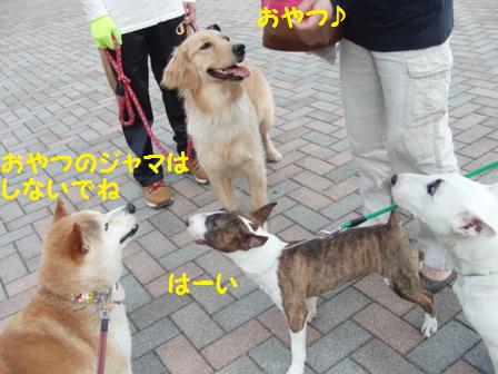 ジャマしないでね