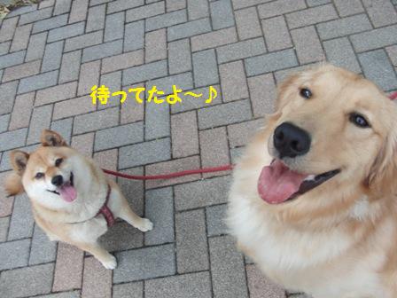 まってたよ