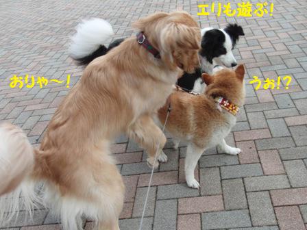 エリちゃん