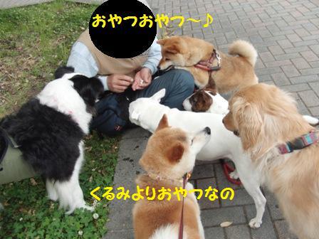 おやつ