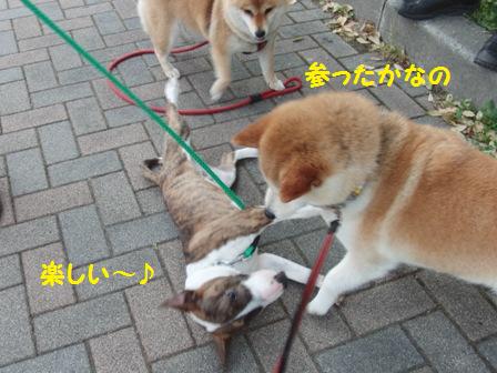 参ったか
