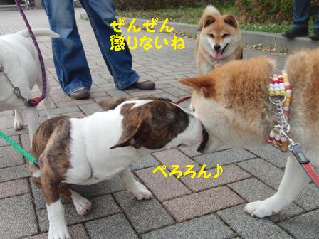 懲りない