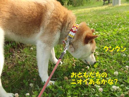 ニオイ