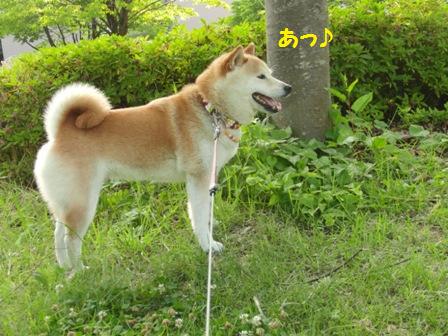 あっ♪