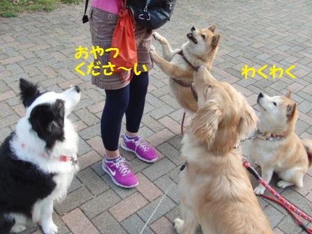 おやつ