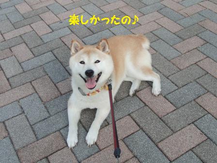 楽しかったの