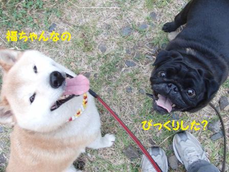 福ちゃん
