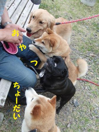 おやつ