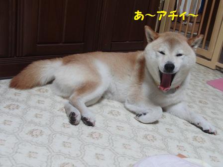 アチィ