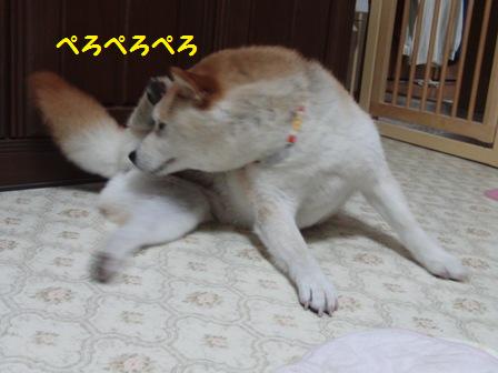 ぺろぺろ