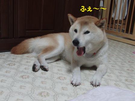 ふぇ~
