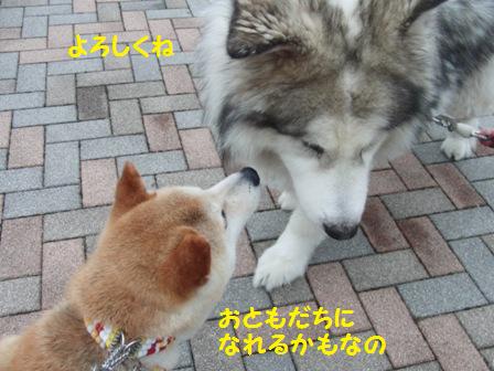 よろしく