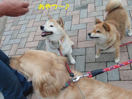 おやつ
