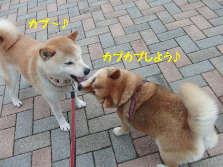 カプカプ