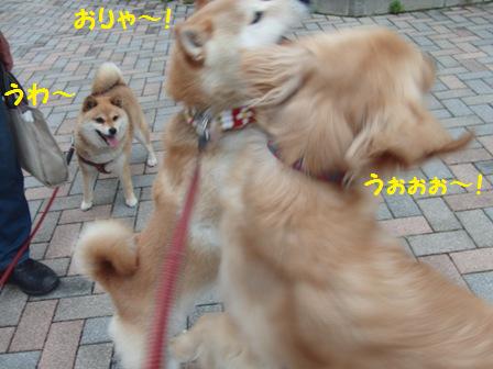 すごい