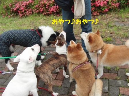 おやつ