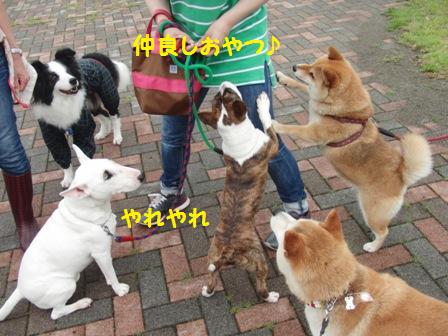 仲良し