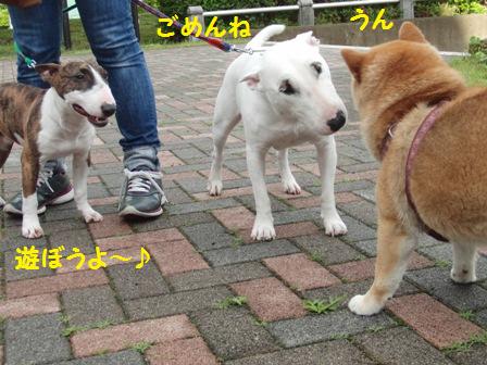 ごめんね