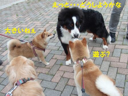 遊ぶ?