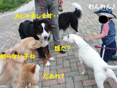だれ?