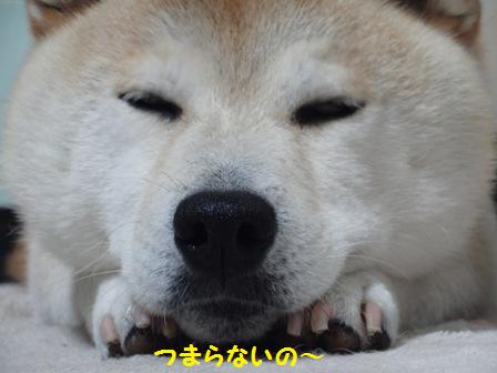 つまらないの