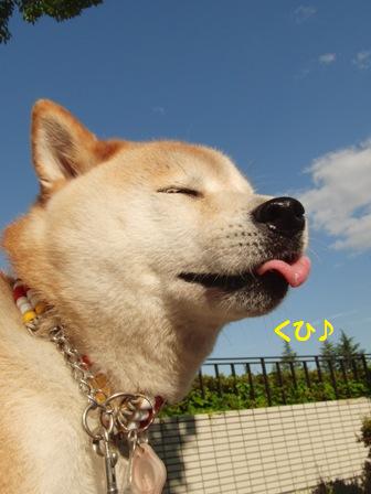 青空