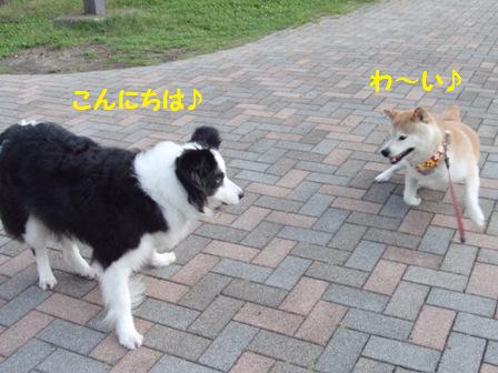 エリちゃん