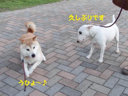 大ちゃん