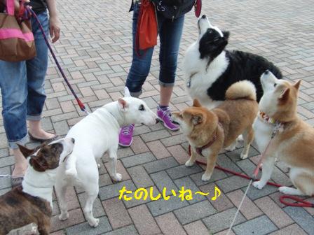 たのしいね